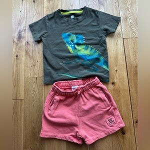 Tea Collection & Zara Toddler Boy Outfit 3T Olive Iguana Tshirt Orange Shorts
